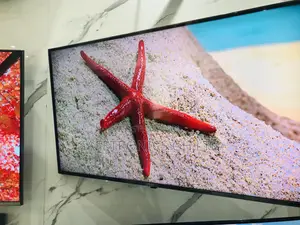 A1PVA 55 Inches Glossy Oled  LG Smart Tv