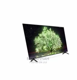 Purchase LG 55 Inch OLED Smart Tv(OLED55A1PVA) 
