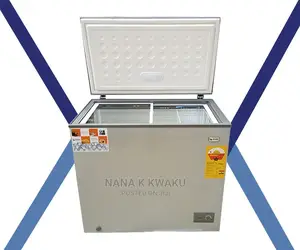 248litres_pearl 248litrs Chest Freezer Silver