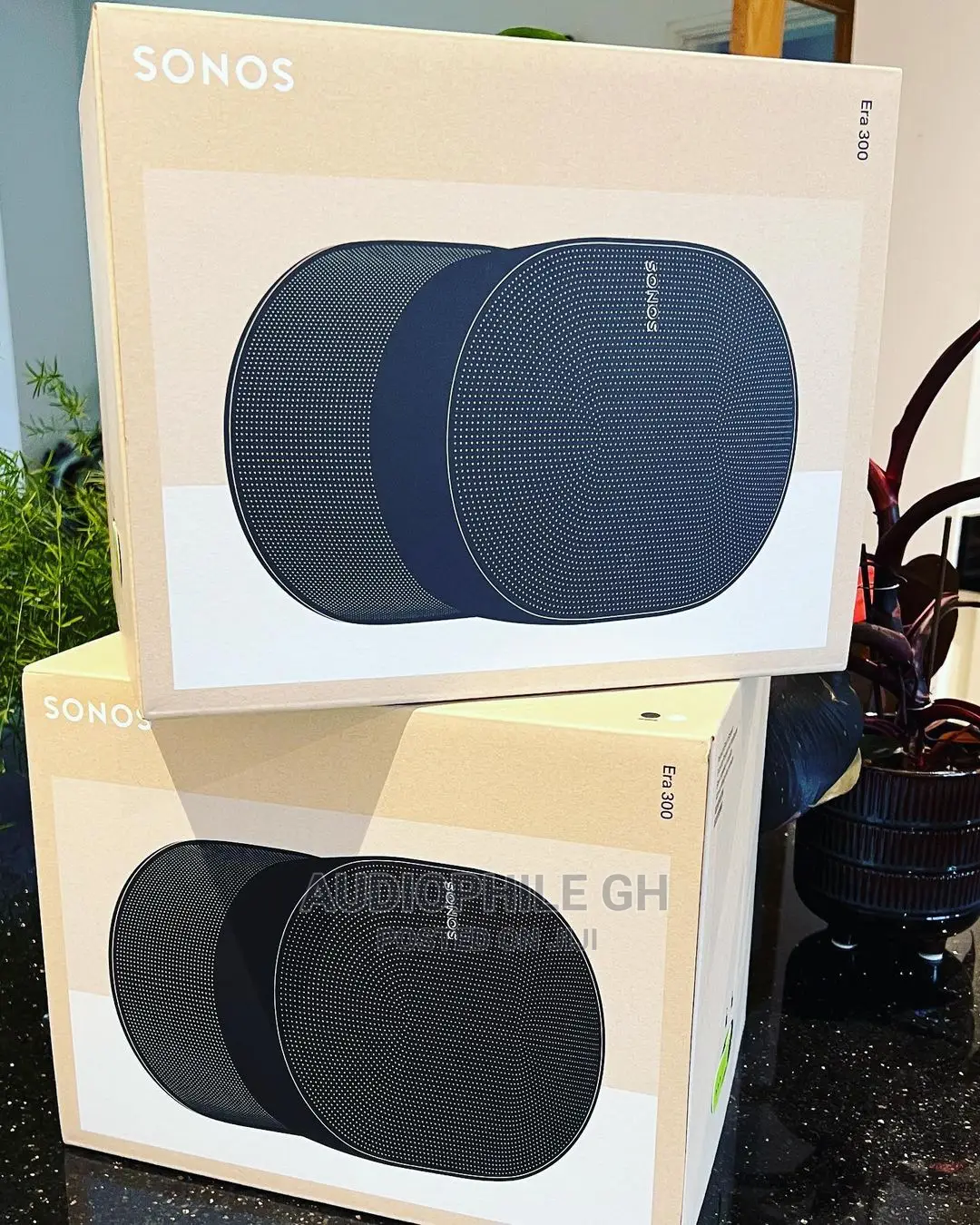 Sonos Era 300 Wireless Speaker With Dolby Atmos