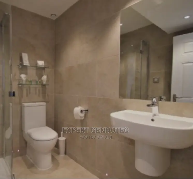 Professional Plumbers Both Domestic and Industrial Services