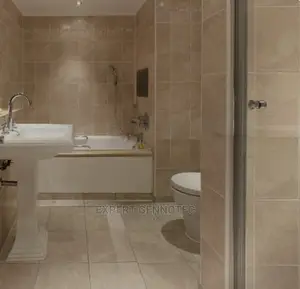 Professional Plumbers Both Domestic and Industrial Services