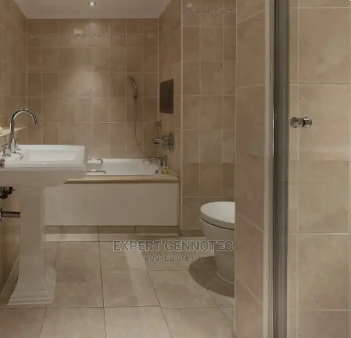 Professional Plumbers Both Domestic and Industrial Services