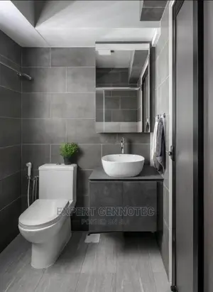 Professional Plumbers Both Domestic and Industrial Services