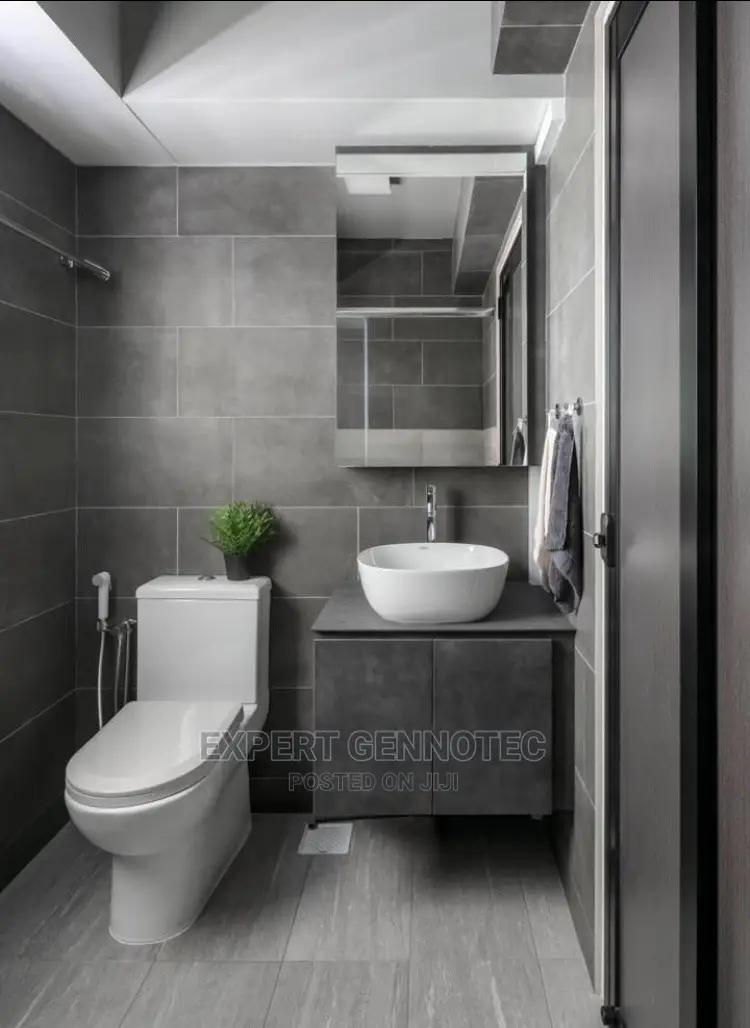 Professional Plumbers Both Domestic and Industrial Services