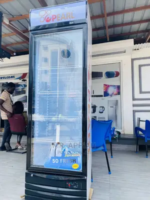 Latest Affordable and Durable PearlPVC 49–368L Store Fridge