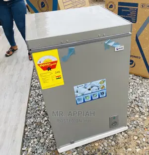 Latest Affordable and Durable Pearl PCF-127(100L)Freezer
