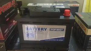 13plates Pofirst Batteries