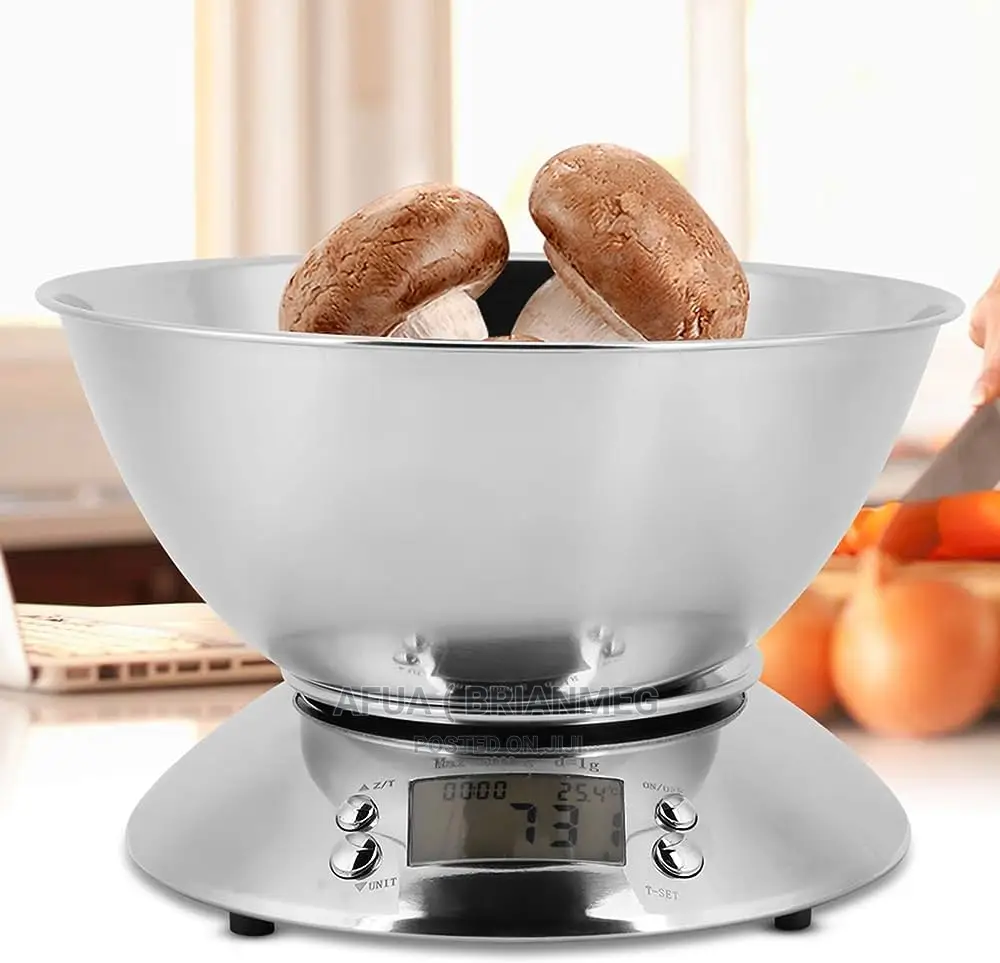 Electronic Digital Scale
