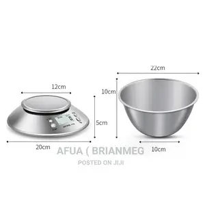 Electronic Digital Scale