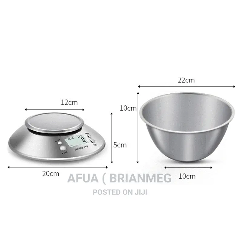 Electronic Digital Scale