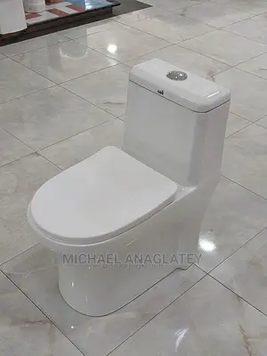 Plumber Professional