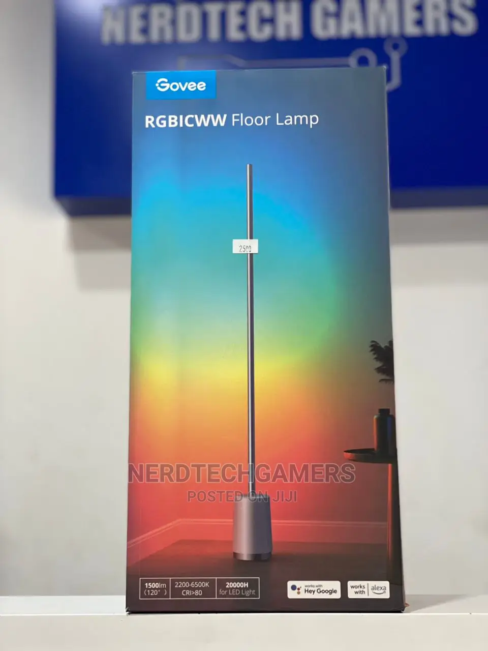 RGBICWW LED Floor Lamp, Smart Corner Lamp