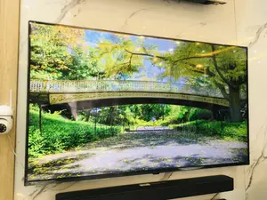 Adjustable LG ZXPVA 88 Inches Glossy Oled Tv
