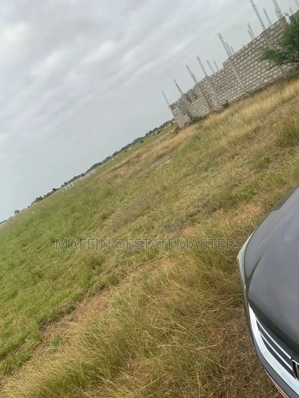Exclusive Sales on Tsopoli Lands
