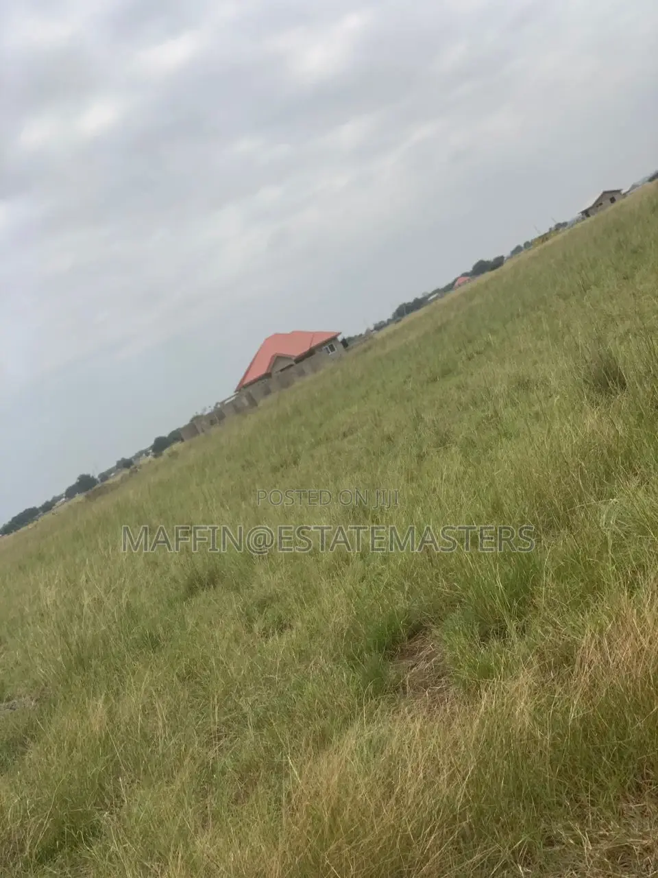 Massive Land for Sale at Tsopoli(Nest Cottage