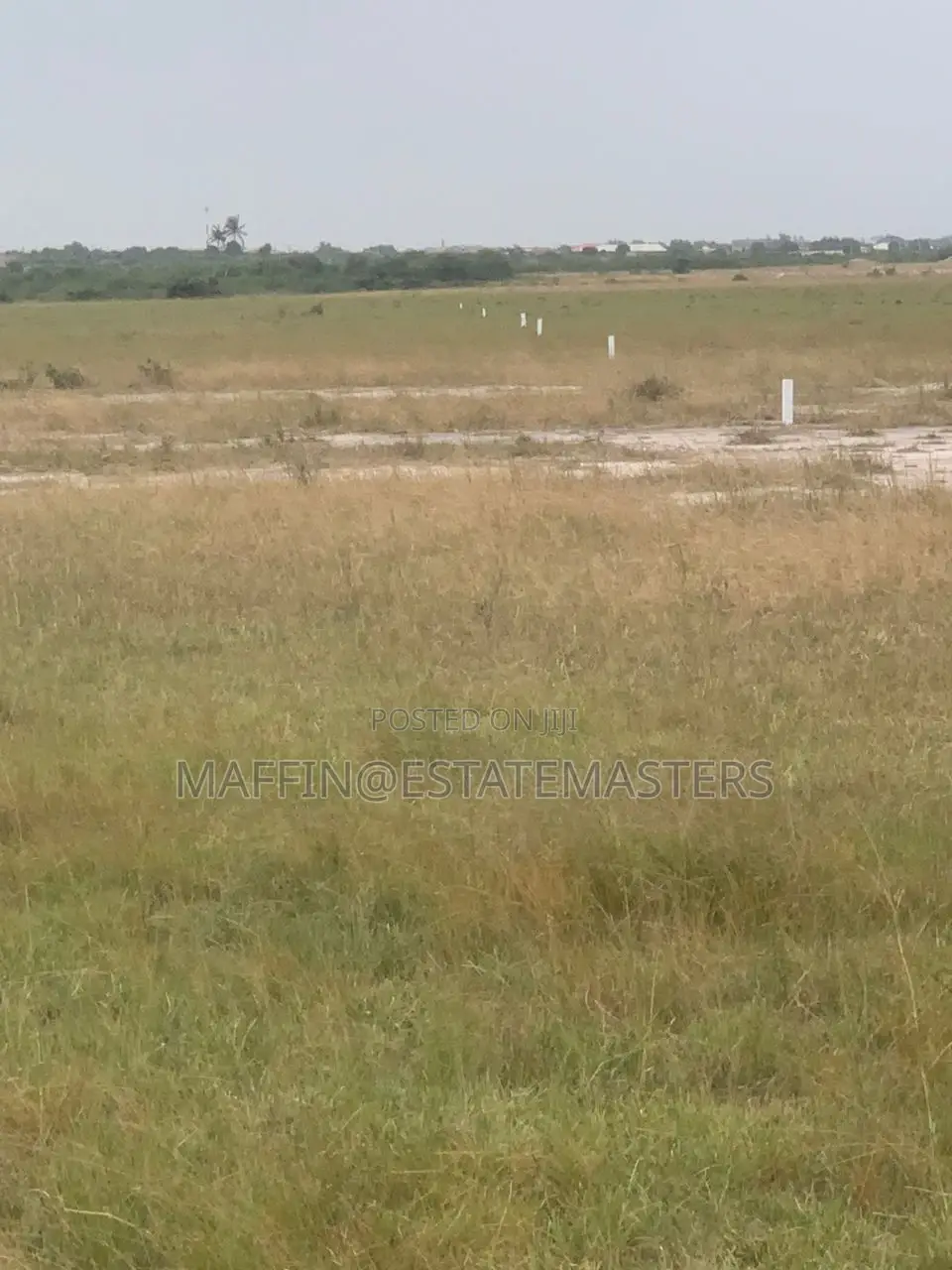 Obtain a Great Land in a Peaceful Environment in Tsopoli