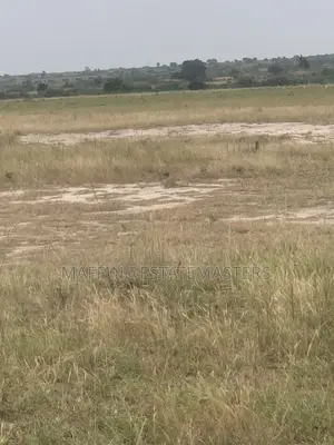 Obtain a Great Land in a Peaceful Environment in Tsopoli
