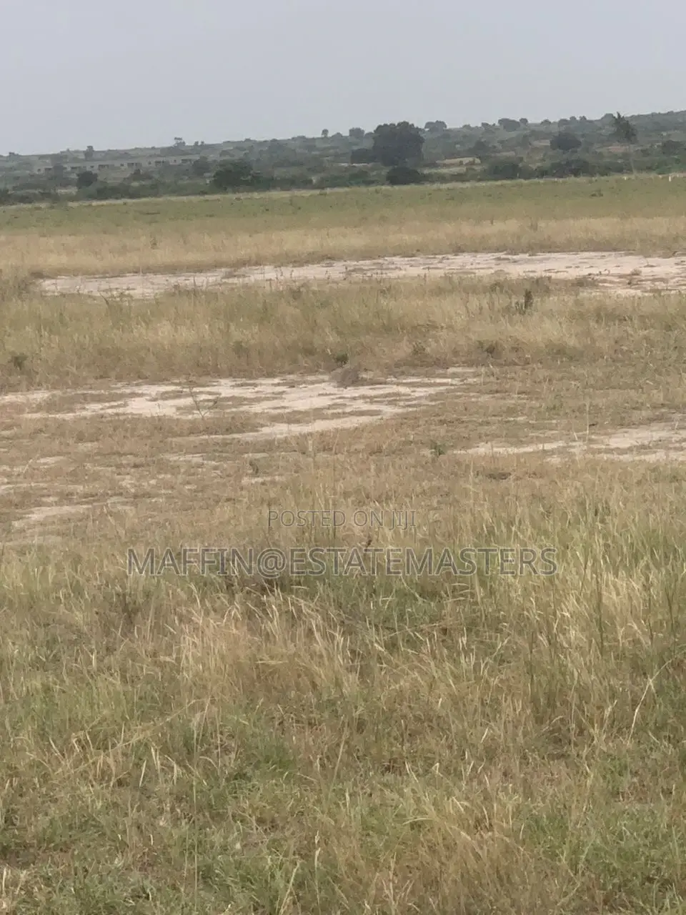 Obtain a Great Land in a Peaceful Environment in Tsopoli
