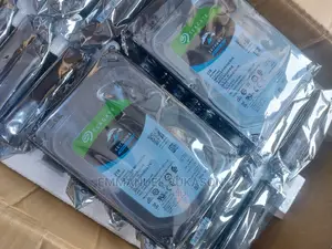 2tb Seagate Surveillance Drive