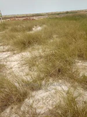 A Genuine 2 Plot of Land for Sale at Tema Community 25