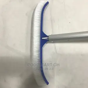Pool Wall Brush