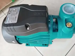 Leo 0.5hp Water Pump
