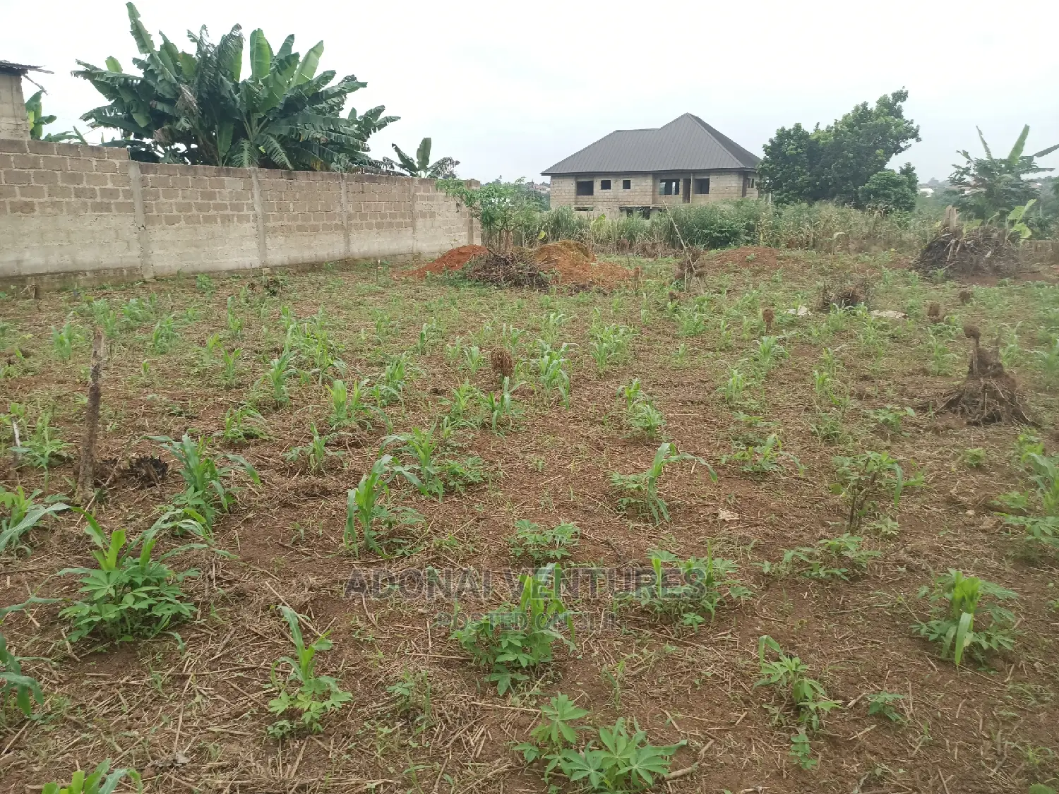 Plot for Sale in Konkorl