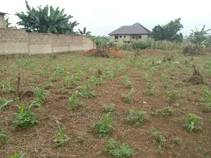 Plot for Sale in Konkorl
