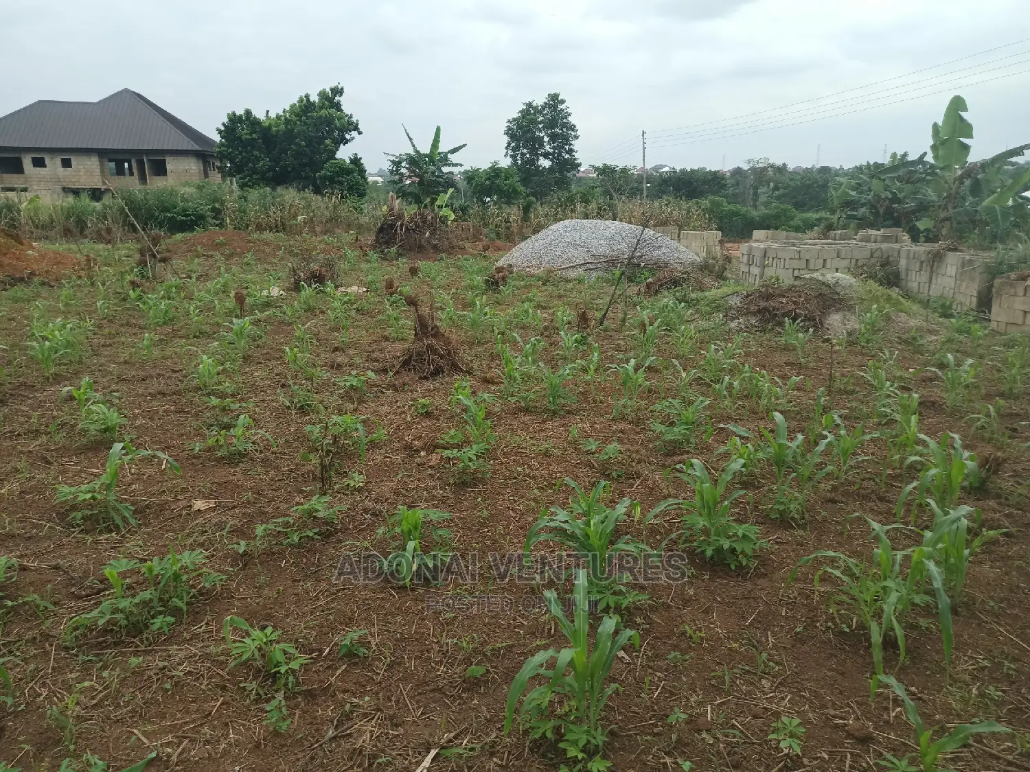Plot for Sale in Konkorl
