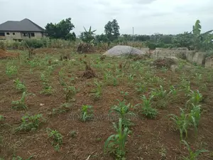 Plot for Sale in Konkorl