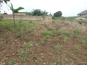 Plot for Sale in Konkorl