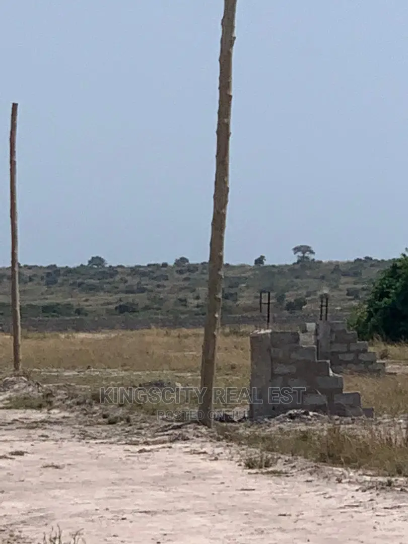 Evenly Marked Land for Sale