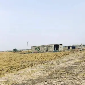 A Peaceful Land for Sale at Tsopoli