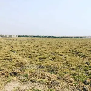 Land of Opportunities Awaits Upu