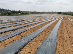 Plastic Mulch