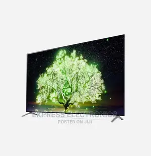 Upgrade Your Viewing Experience OLED55A1PVA LG Tv 
