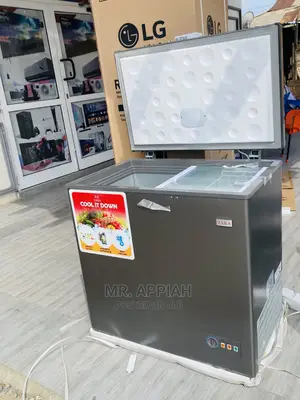 Original Zara 220 Single Door Chest Freezer(Sliver)