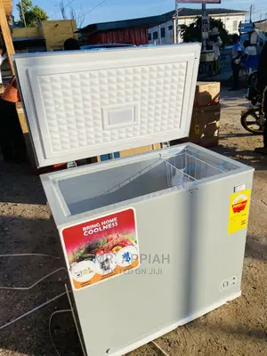 Original New Zara 260 Single Door Freezer 