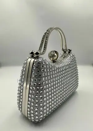 Luxurious Bag