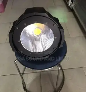 COB Light - Warm Cool White Color