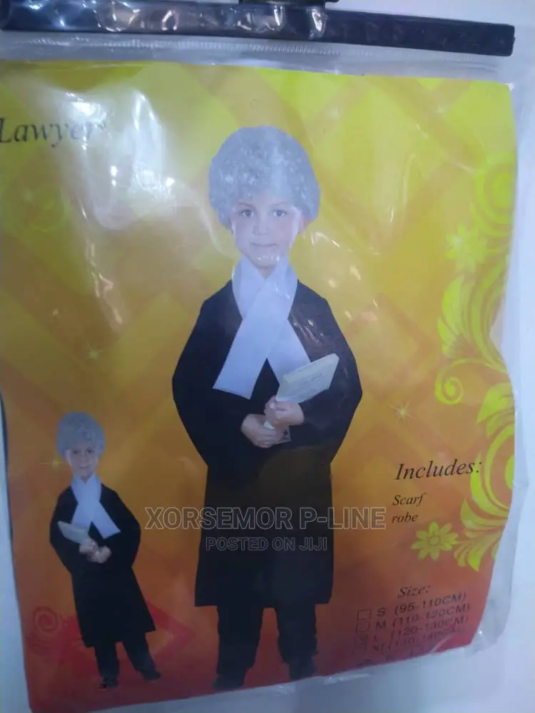 Law Court Lawyer