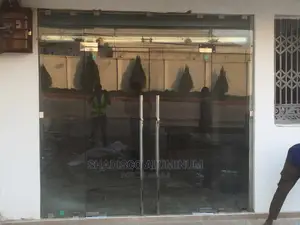 Frameless Glass Door