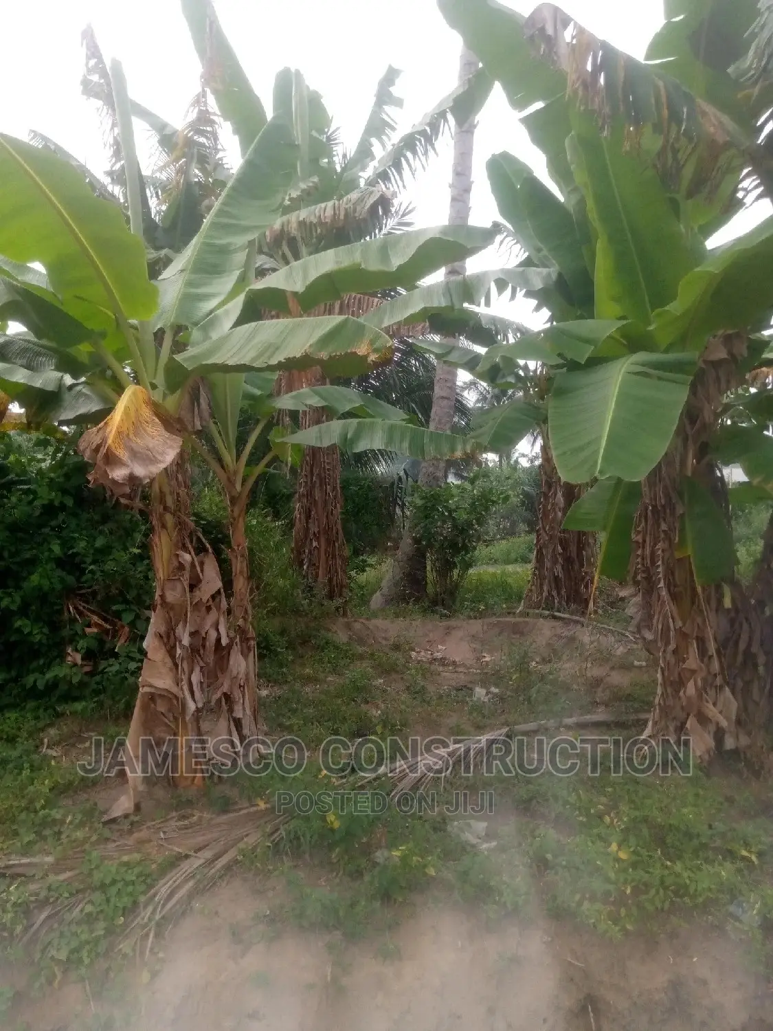 One Plot of Land Sale Documents Available.