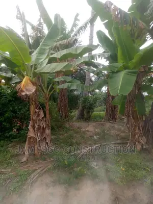 One Plot of Land Sale Documents Available.