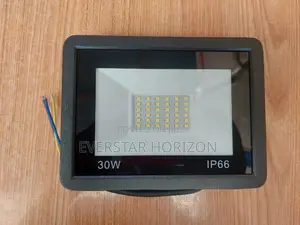 Photo - 30W Outdoor LED Floodlight