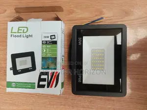 30W Outdoor LED Floodlight