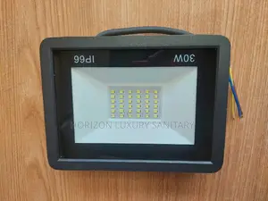 30W Outdoor LED Floodlight