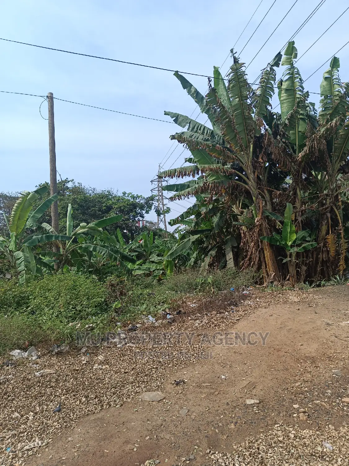 1.5 Acres Roadside Land at TEMA Harbour