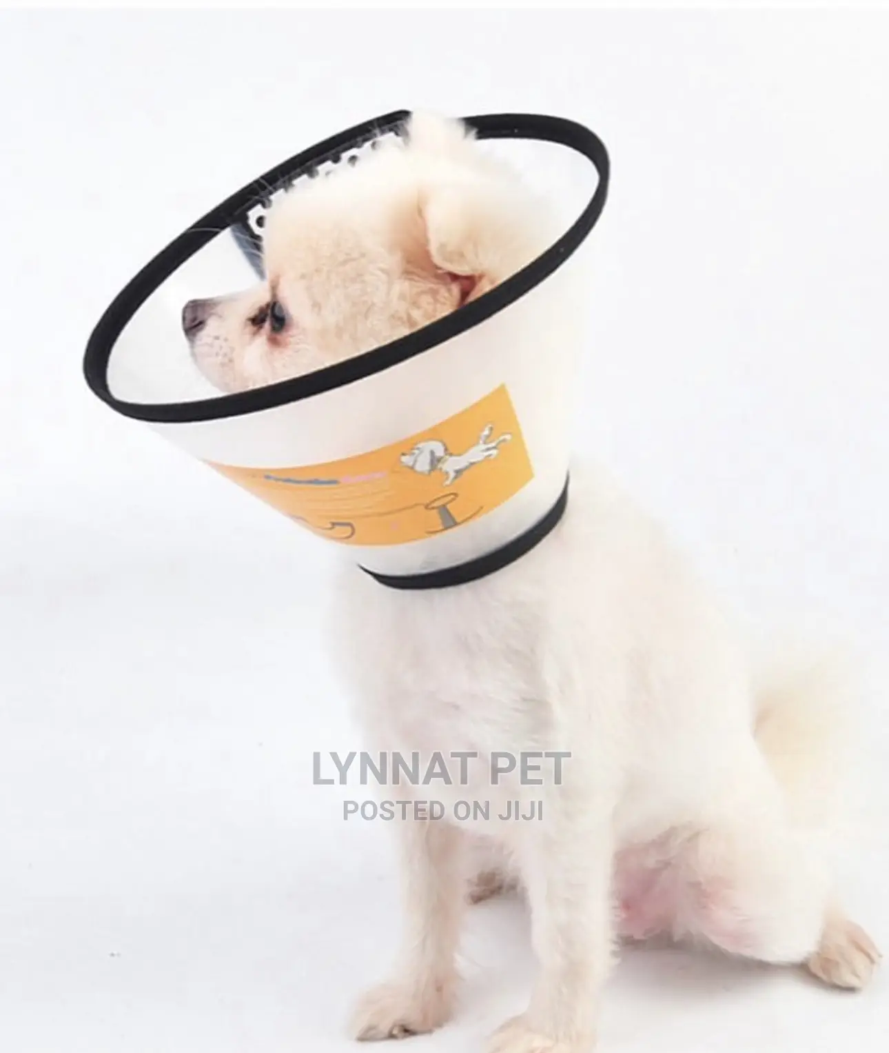 Elizabathan Collar ( E-Collar )